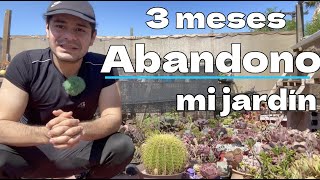 Intemperie por 3 meses y 45°C Calor extremo en mi Jardín abandonado