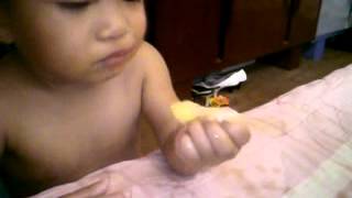 1-year-old kid shows how to eat a lemon