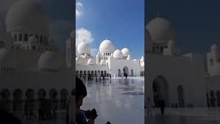 Hara Gumbad Jo Dekhoge Zamana Bhool Jaoge #naat #shorts #song #video