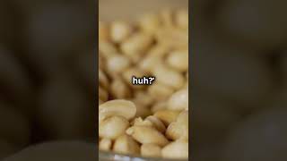 Airline Food Rant  5 Peanuts ! 2024 10 05 #comedicgold #facts #laughoutloud #planespotting  #flying