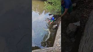 Fue Captado por un Dron ##viral #pesca #videos #viral #buenapesca #fish