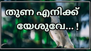 തുണയെനിക്കേശുവേ കുറവിനിയില്ലതാൽ| Thuna enikkeshuve kuraviniyillathaal|ZION MANNA