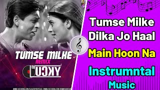 Tumse Milke Dilka Jo Haal [Full Song] | Main Hoon Na | Shahrukh Khan - Instrumental#trending #video