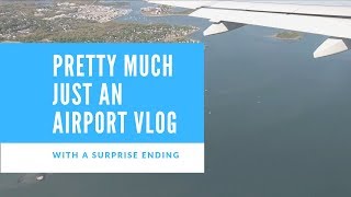 Massachusetts (Ferret on the Plane)| Vlog #5