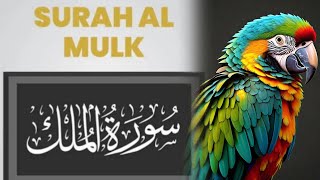 Recitation of Surah Al-Mulk by Sheikh Abdullah Awwad Al-Juhany