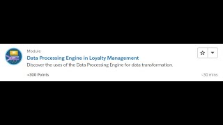 Data Processing Engine in Loyalty Management [Salesforce Trailhead Answers]