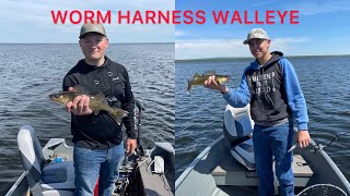 Trolling worm harnesses for walleye (Sturgeon Lake)