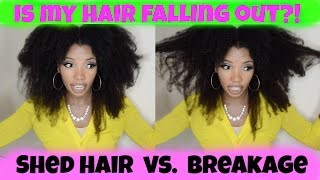 Shedding Hair vs. Breakage - How I Manage