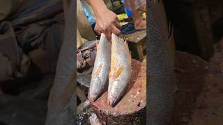 Amazing Poa Fish Cutting Skills In Bangladesh Fish Market #shorts