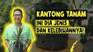 MEMANFAATKAN KANTONG TANAM (PLANTERBAG) UNTUK BERKEBUN