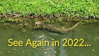 Monitor Lizards, we see again in 2022!