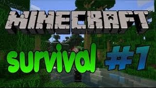 Minecraft Survival #1/BEZ HATEÓW NAGRAŁEM DLA BEKI