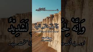 سورة العاديات۔ Surah Al Adiyat القرآن الکریم #القرآن_الكريم #quranpak #reels #islamicstatus