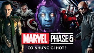 NHỮNG PHIM MARVEL HOT NHẤT SẼ RA MẮT TRONG MCU PHASE 5!