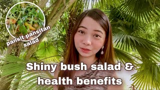 easy salad recipe using shiny bush |  pansit pansitan health benefits | how to harvest shiny bush