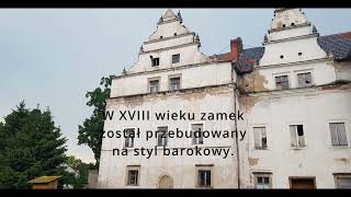 #383 Wilków Wielki