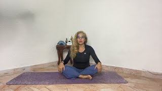 Clase de Yoga para principiantes