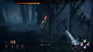 PS4版 DBD 始めて２ヶ月ぐらいです