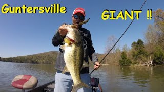 I CATCH a GUNTERSVILLE GIANT!! Flipping, Pitching DIRTY Water