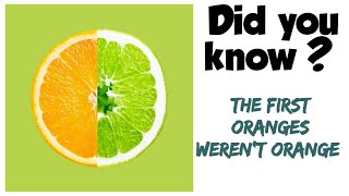 #shorts | Amazing Fact about oranges | Did You Know?