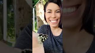 Enjoying nature - Butterflies