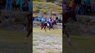 Girl playing Free style polo in Chitral #polo #horse #polomatch #mountains #pakistanpoloassociation