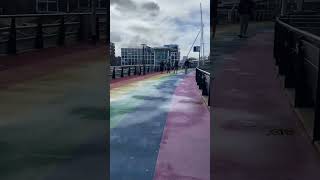 Walking colours Amsterdam 2023 #shorts