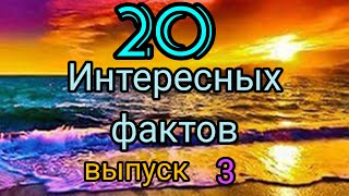 20 интересных фактов. Выпуск 3