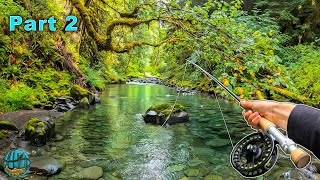 Fly Fishing in a RAINFOREST! (Washington)