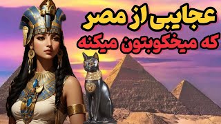 عجایب ترسناک و باورنکردنی مصر باستان|  قربانی و مومیایی کروکودیل ها، در مصر برای فراعنه