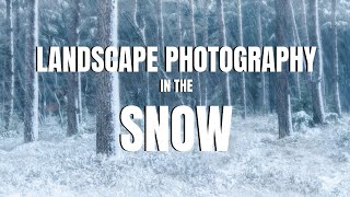 LANDSCAPE PHOTOGRAPHY in the SNOW | Winter Woodlands