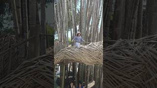 PANGGUNG POHON BAMBU, HEHA FOREST #shorts #healing #restohits #hehaforest #bambupetung #kaliurang