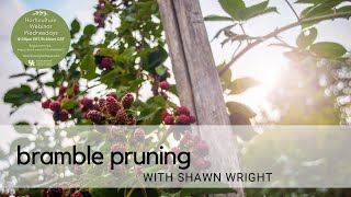 Bramble Pruning