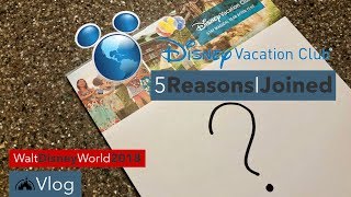 5 Reasons I Joined Disney Vacation Club - Disney World 2019 - EricRovtar.com