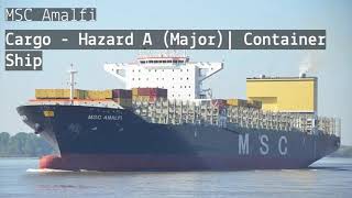 Container Ship | MSC Amalfi