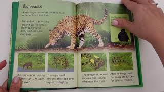 Usborne - Rainforest