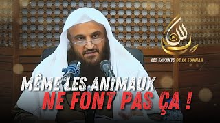 Même les animaux ne font pas ça ! Cheikh Abd-Arrazzâq Al Badr