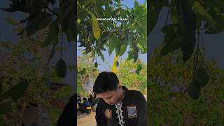 PSHW Ranting Lembeyan #pshw #shortvideo #shwinongo #psht #stkindonesia #shorts