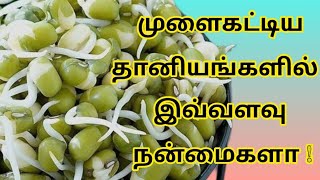 முளைகட்டிய பயிர் மருத்துவ பயன்கள்|Sprouted grain Health Benifits in Tamil|@HealthTips24Tamil