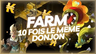 [DOFUS] Le DONJON des CHAMPS reste RENTABLE ??!! FARM 10 FOIS LE MÊME DONJON #3 (Draconiros)