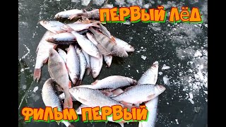 Первый лёд 3.12.2022