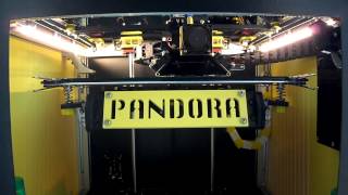 PANDORA DXs - Automatic Bed Leveling & Completion