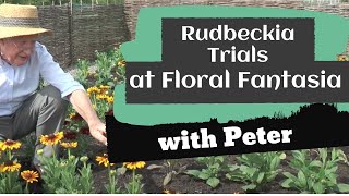 Rudbeckia Trials at Floral Fantasia | Garden Ideas | Peter Seabrook