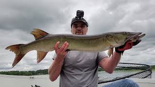 41" Musky July 8, 2021