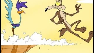 WARNING! Road Runner may be hazardous to health