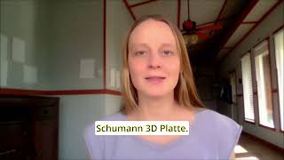 Schumann 3D Platte (No Analogs in USA)