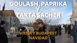 Viena y Budapest en Navidad