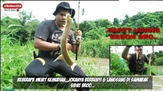 NIAT MANCING IKAN SIDAT?? MALAH DI SERBU PASUKAN UDANG!!//DEWA fishing