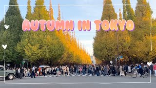 【Tokyo Autumn Vlog】: Visiting Tokyo Famous Autumn Spot