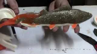 Makelure: Molding A Real Fish - Perch Muskie Lure